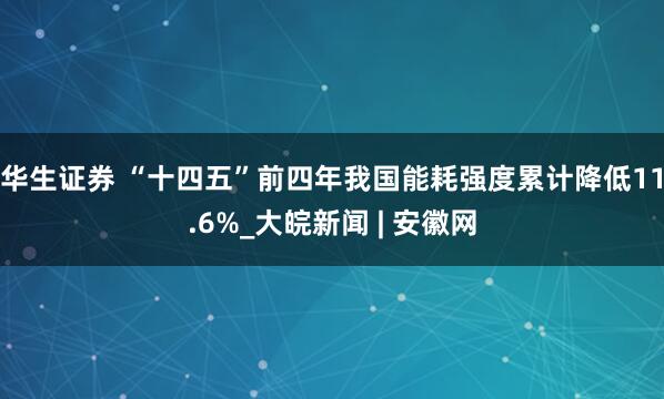 华生证券 “十四五”前四年我国能耗强度累计降低11.6%_大皖新闻 | 安徽网
