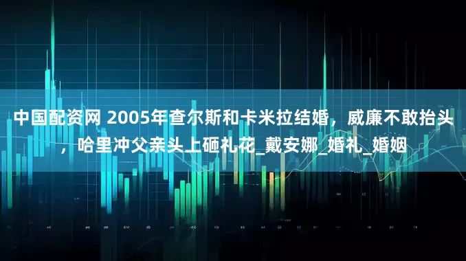 中国配资网 2005年查尔斯和卡米拉结婚，威廉不敢抬头，哈里冲父亲头上砸礼花_戴安娜_婚礼_婚姻