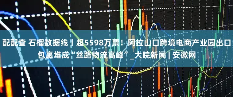 配配查 石榴数据线丨超5598万票！阿拉山口跨境电商产业园出口包裹堆成“丝路物流高峰”_大皖新闻 | 安徽网