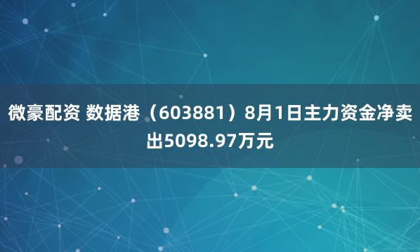 微豪配资 数据港（603881）8月1日主力资金净卖出5098.97万元